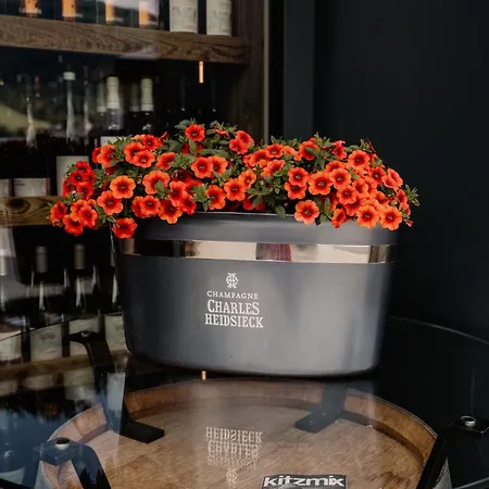 Apartament Lamonte Luxury Kitzbühel